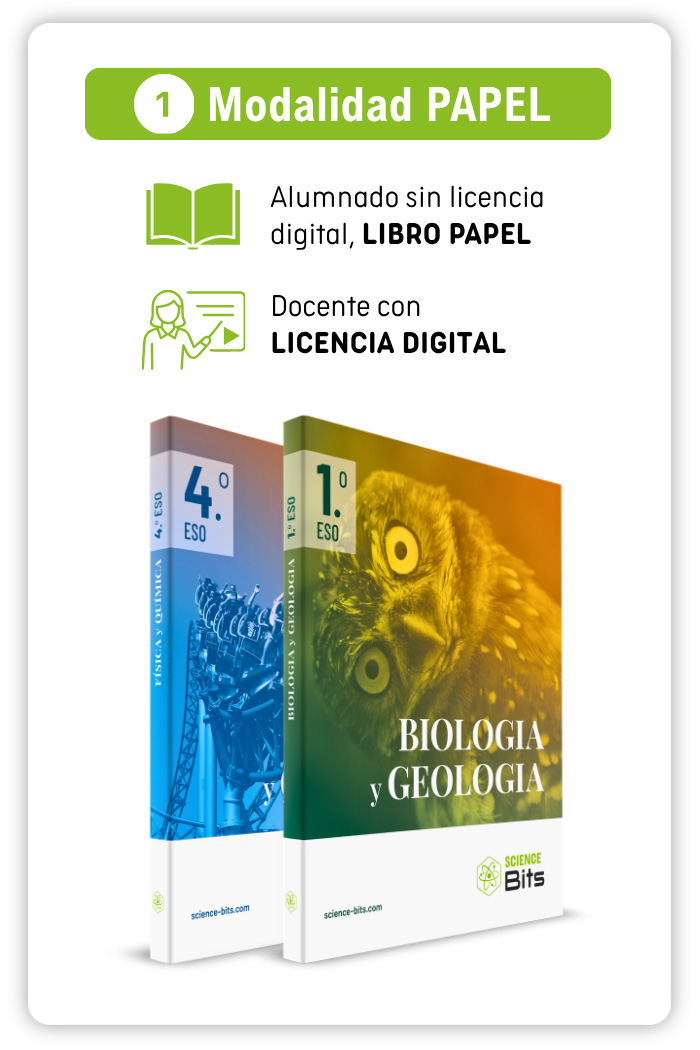 Modalidad en papel